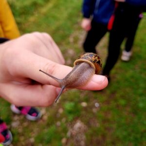 Braddock Primary Pupil with snail