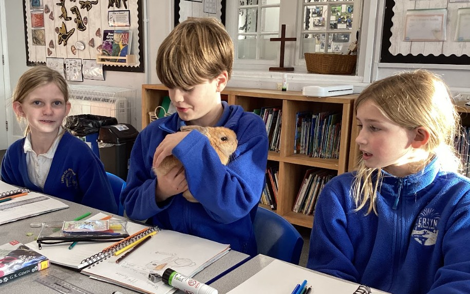 Lerryn Primary School Pupil cuddling rabbit