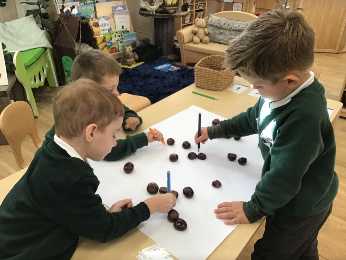 Millbrook Primary School Pupils using conkers for maths