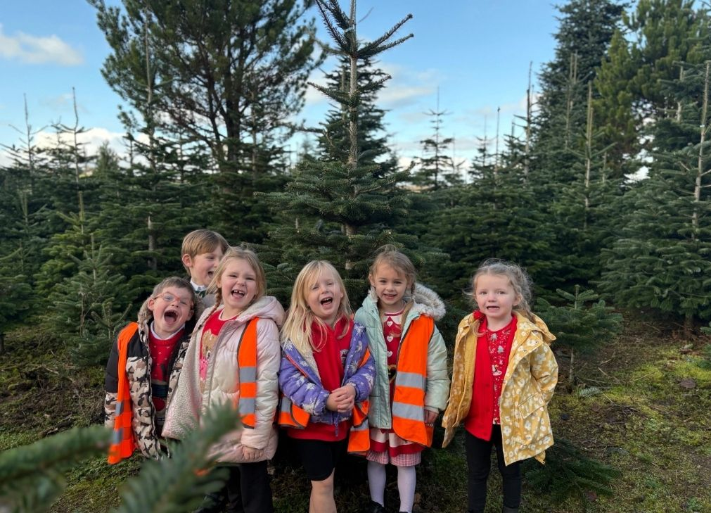 St Dominic Primary Pupils finding christmas tree