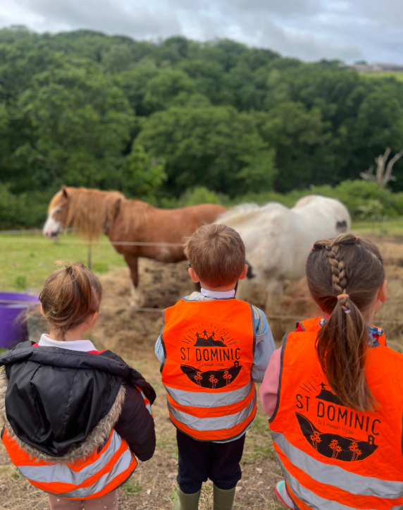 St Dominic Primary visit to Ponies