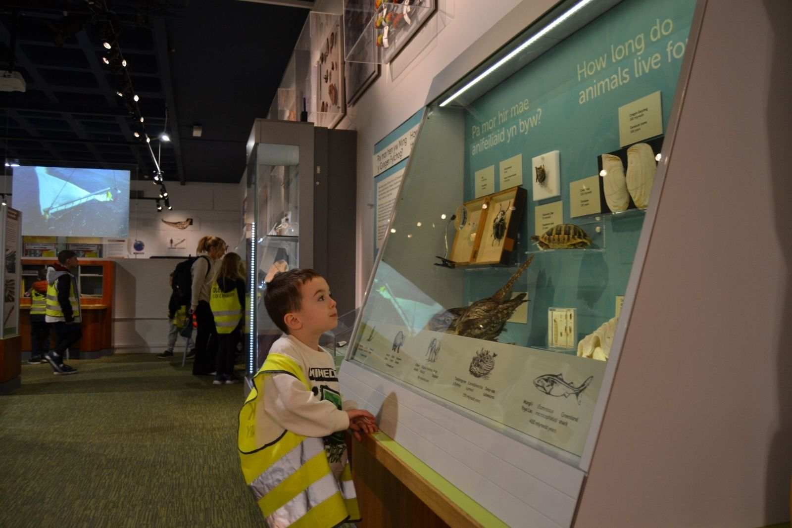 St Mellion Primary Pupil at Cardiff Museum