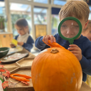 St Nicolas Primary School Pupil studying pumpkin