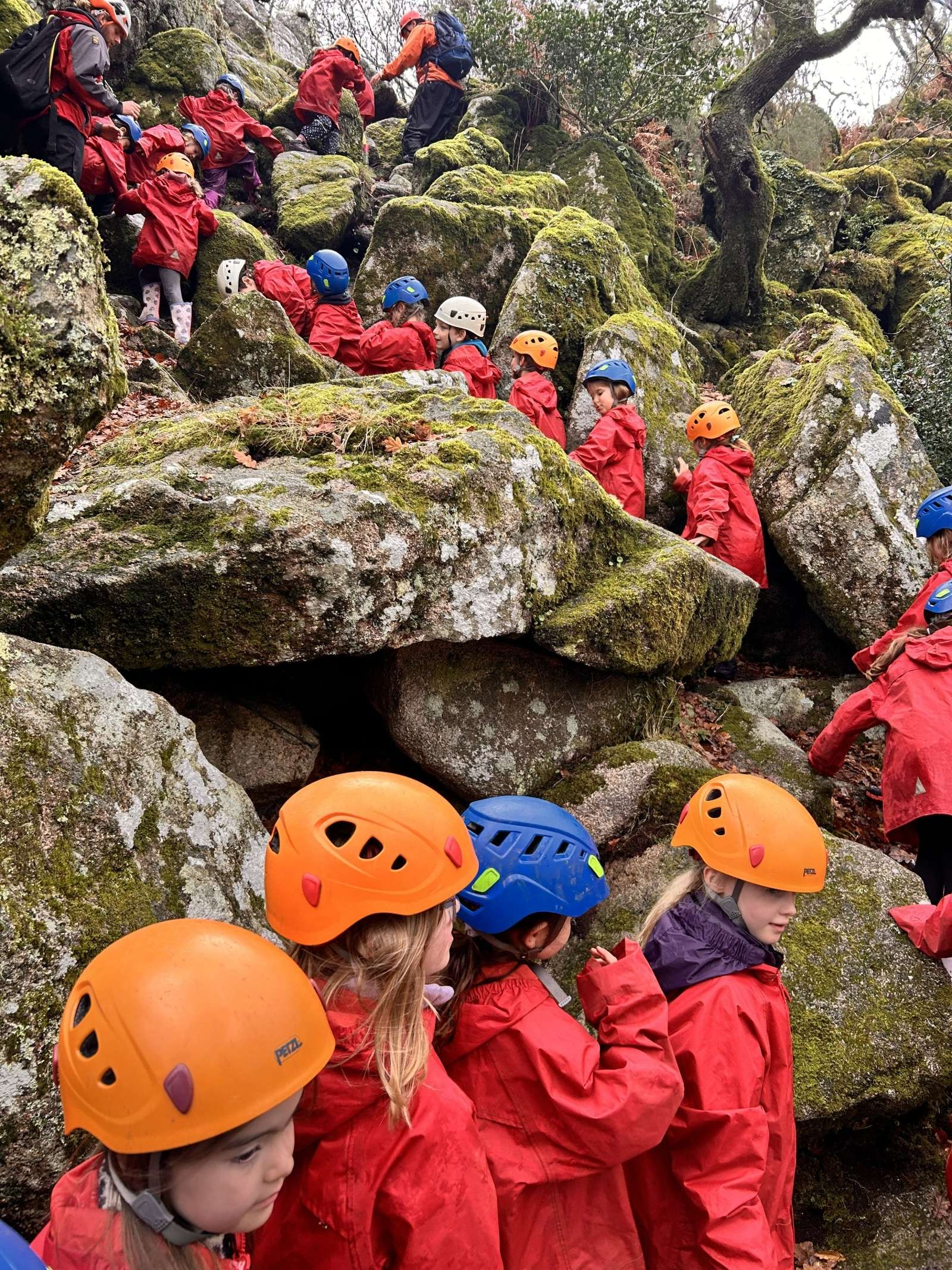 St Petrocs Primary School Pupils climbing