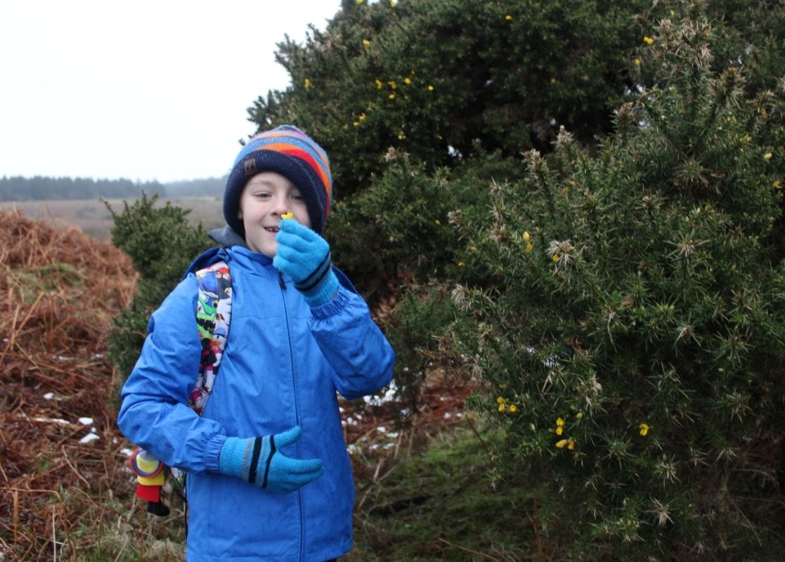 St Winnow Primary School Pupil with flower